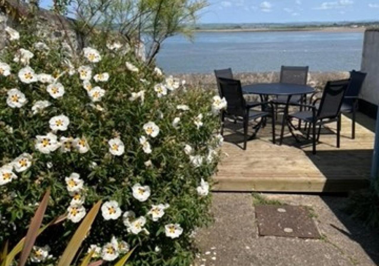 Rock Rose * Appledore